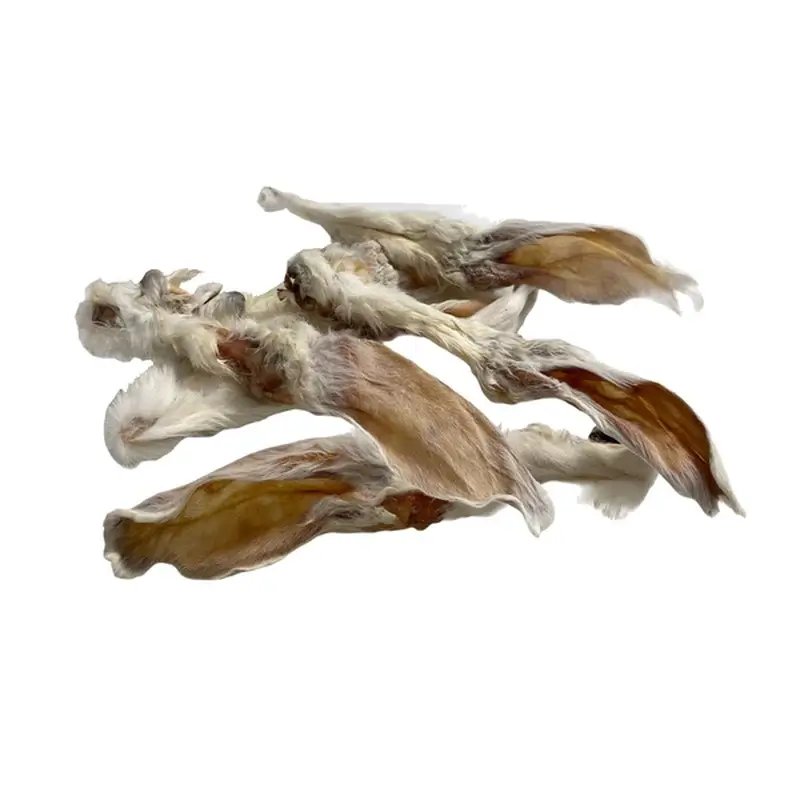 Puromenu Rabbit Ears, 5 units - Image 2